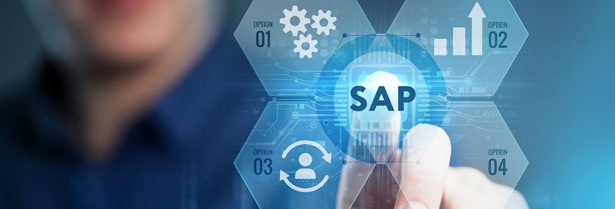 Le choix d'un logiciel SAP